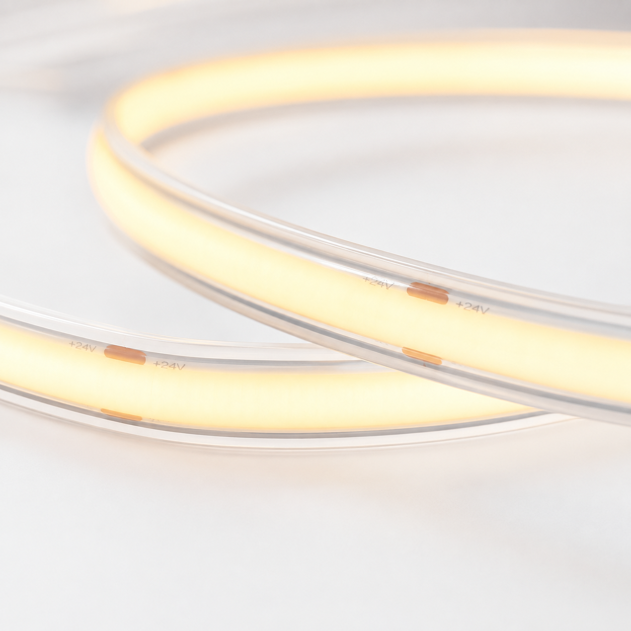 24V COB LED Strip Light Cold White 6500K – IP68 Waterproof Dotless Super Bright Self-Adhesive LED Tape, 1m–100m